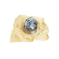 Rust Inhibitor Paper 1000mm x 200mtr roll 50gsm